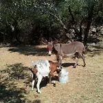아파트 Agroturizam Radesic 부제