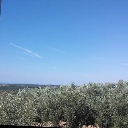 Agroturizam Radesic Apartment Buje