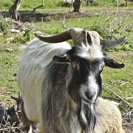 Agroturizam Radesic