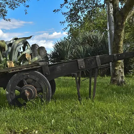 Agroturizam Radesic * Buje