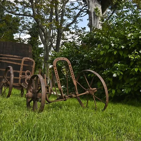 Agroturizam Radesic Apartment Buje